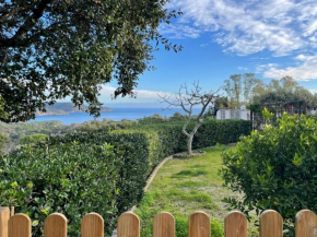 Villa Tany